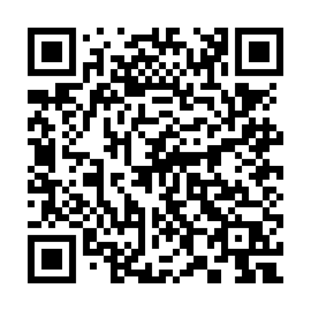 QR code for plate 380-NEP