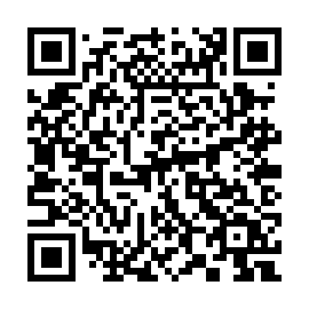 QR code for plate 380-PJT