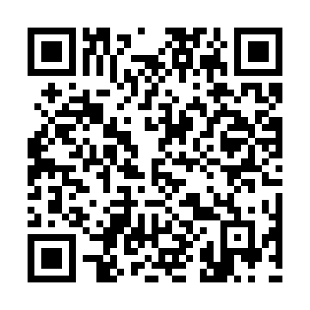 QR code for plate 380-STF