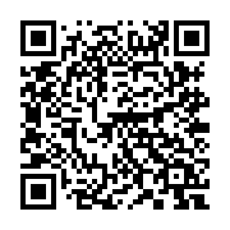QR code for plate 380-XFT