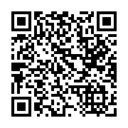 QR code for 381-CEO