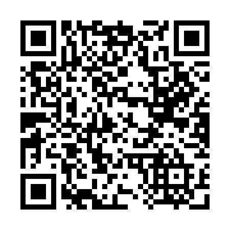 QR code for 381-CGE