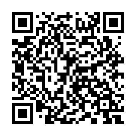 QR code for 381-CRN