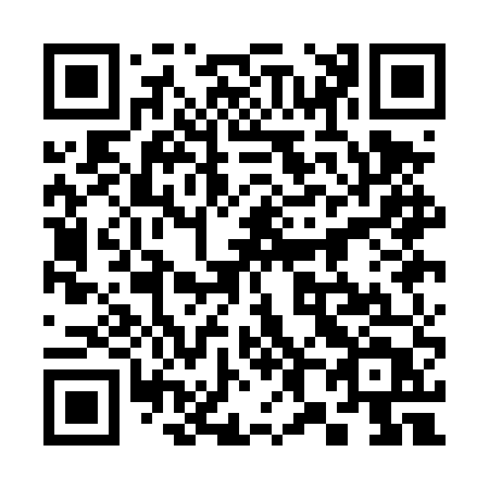 QR code for 381-DUT