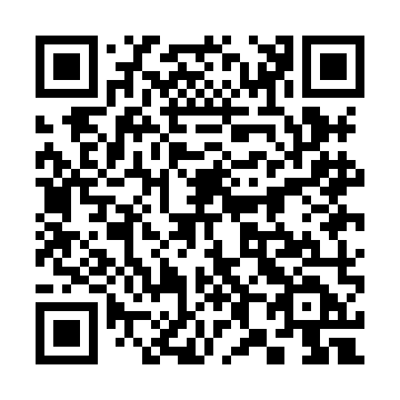 QR code for 381-HMD
