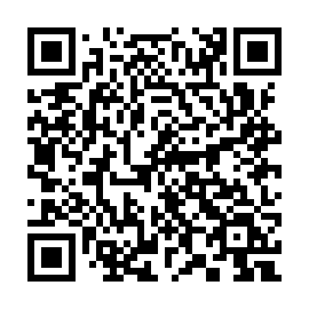 QR code for 381-IZL