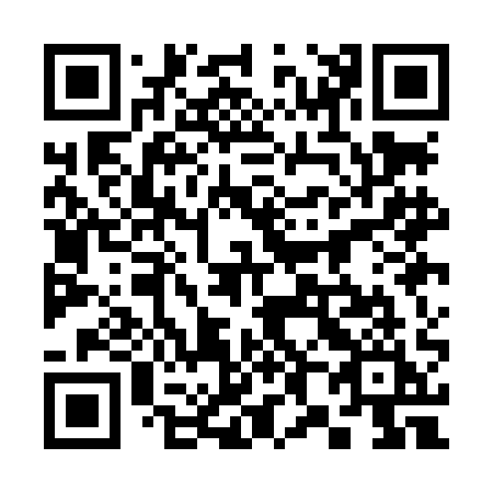 QR code for 381-LAI