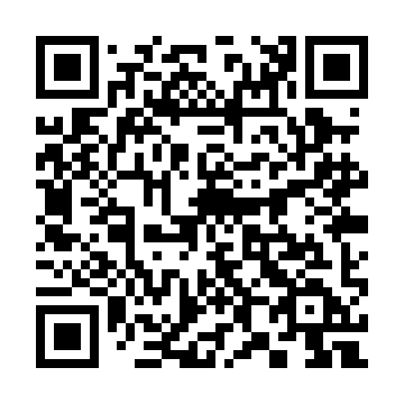 QR code for 381-PID