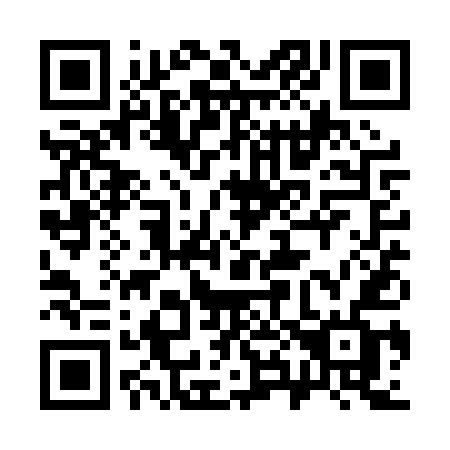 QR code for 381-PUF