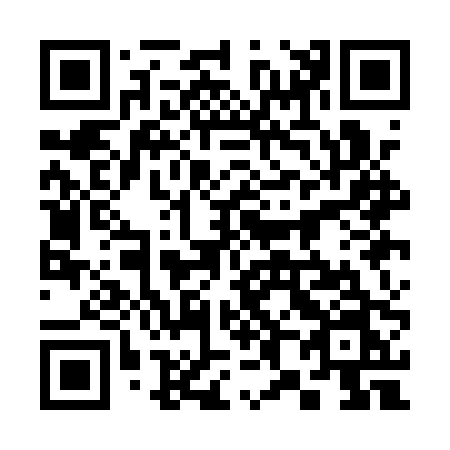 QR code for 381APN