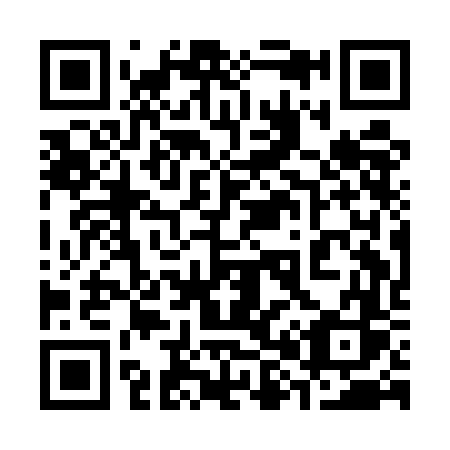 QR code for 381EFS