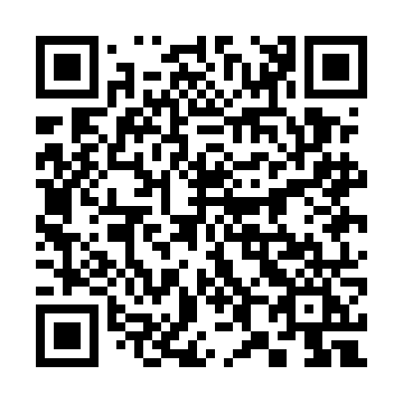 QR code for plate 381-ENI