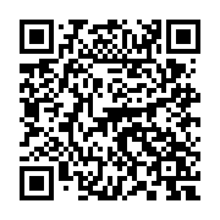 QR code for plate 381-FDW