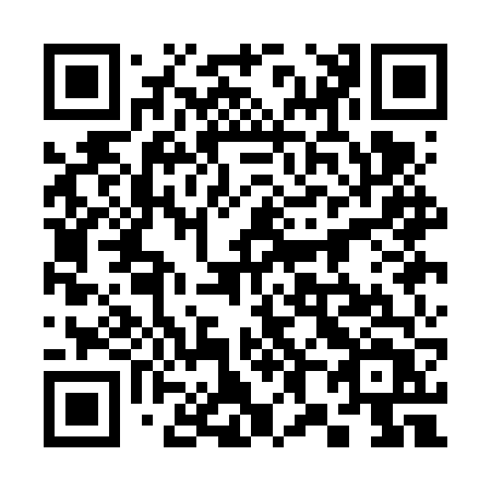 QR code for plate 381-FVT