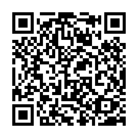 QR code for plate 381-PKY