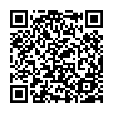 QR code for plate 381-PNJ