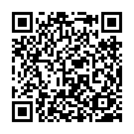QR code for plate 381-RBP