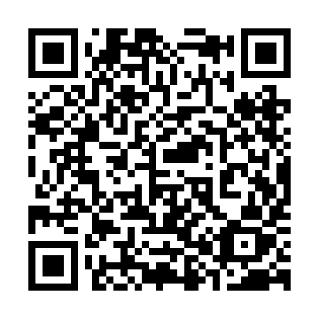 QR code for plate 381-RIZ
