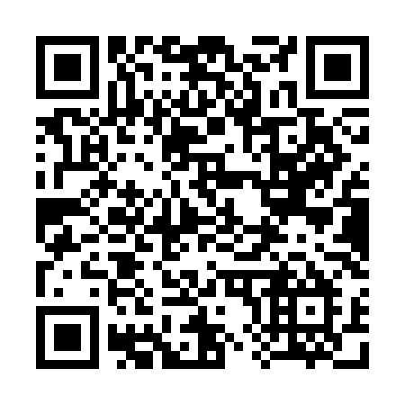 QR code for plate 381-SLM