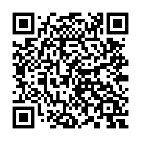 QR code for plate 381-TPV