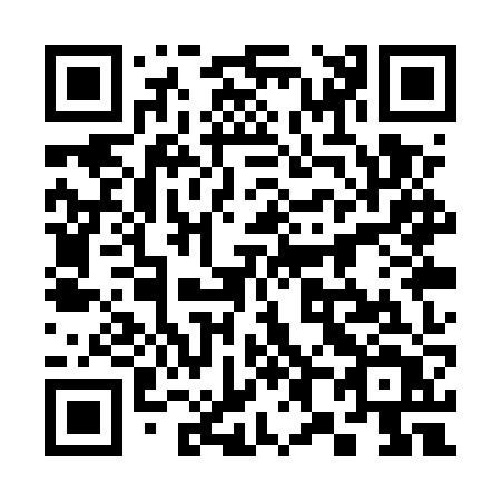 QR code for 381UZT