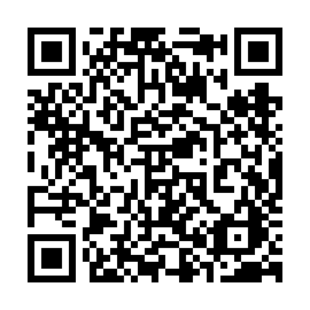 QR code for plate 381-VJC