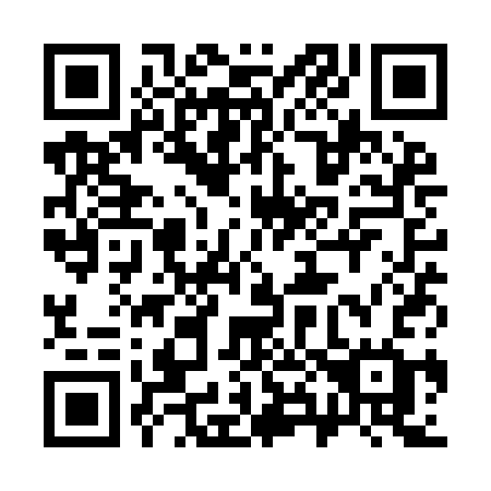 QR code for plate 381-YCG