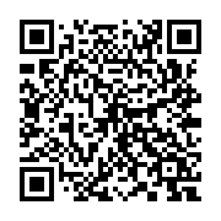 QR code for 381YZV