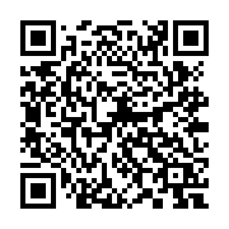 QR code for plate 381-ZJR