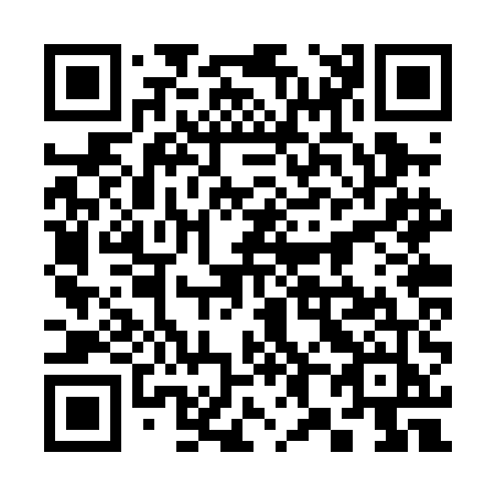 QR code for 382-PEJ