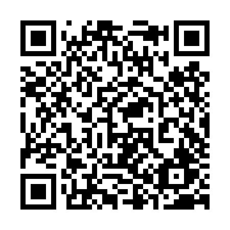 QR code for plate 382-DZV