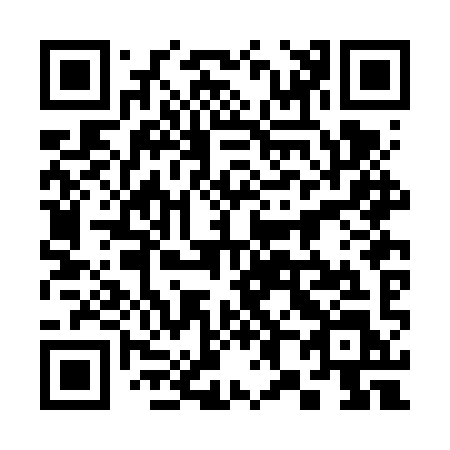 QR code for 382FYL