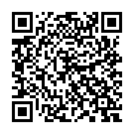 QR code for 382IUG