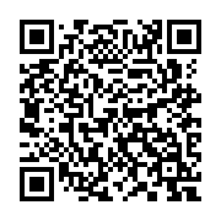 QR code for plate 382-KIN