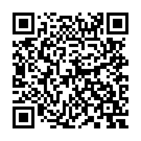 QR code for plate 382-MYW