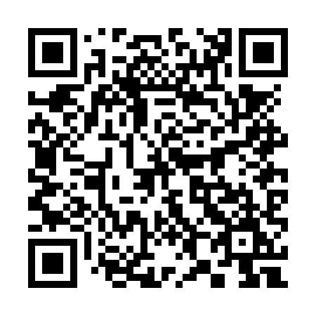 QR code for plate 382-NXM