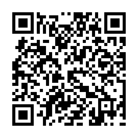 QR code for plate 382-QJP
