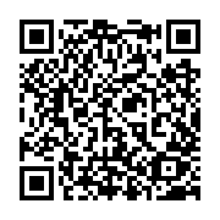 QR code for plate 382-WXZ