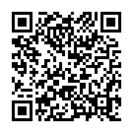 QR code for 383-HWJ