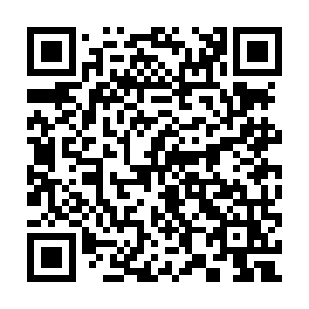 QR code for 383-LMZ