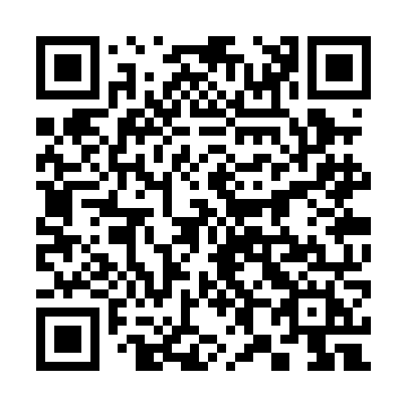 QR code for 383-PNH