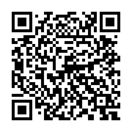 QR code for plate 383-DQR