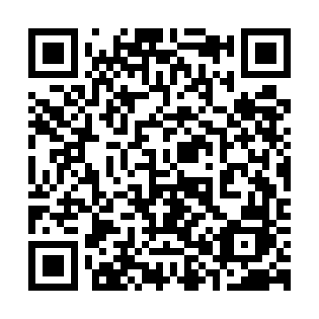 QR code for plate 383-EFJ