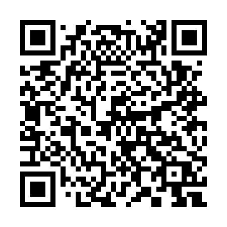 QR code for 383EPP