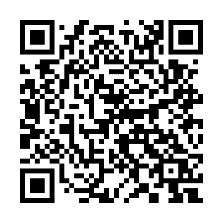 QR code for plate 383-ERS