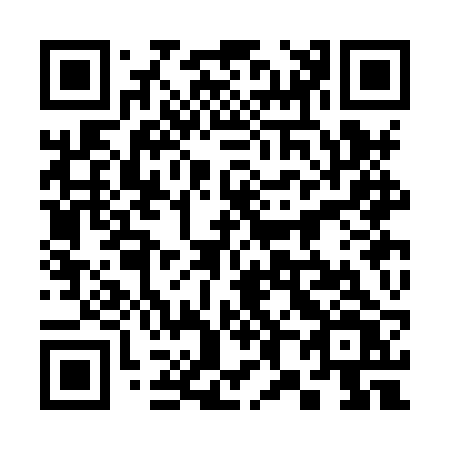 QR code for plate 383-HRV