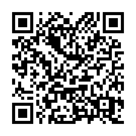 QR code for plate 383-IZT