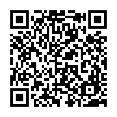 QR code for plate 383-OFD