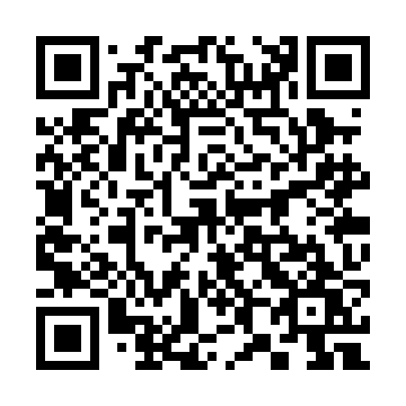 QR code for plate 383-PJW
