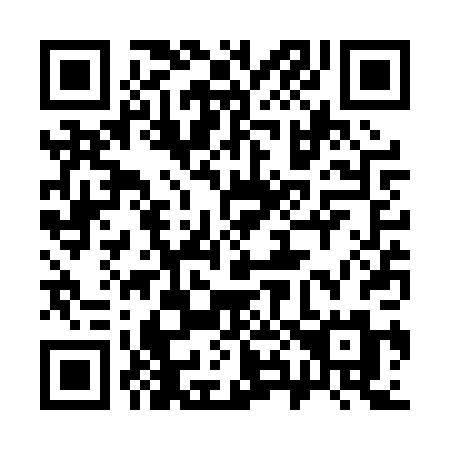 QR code for plate 383-PPM